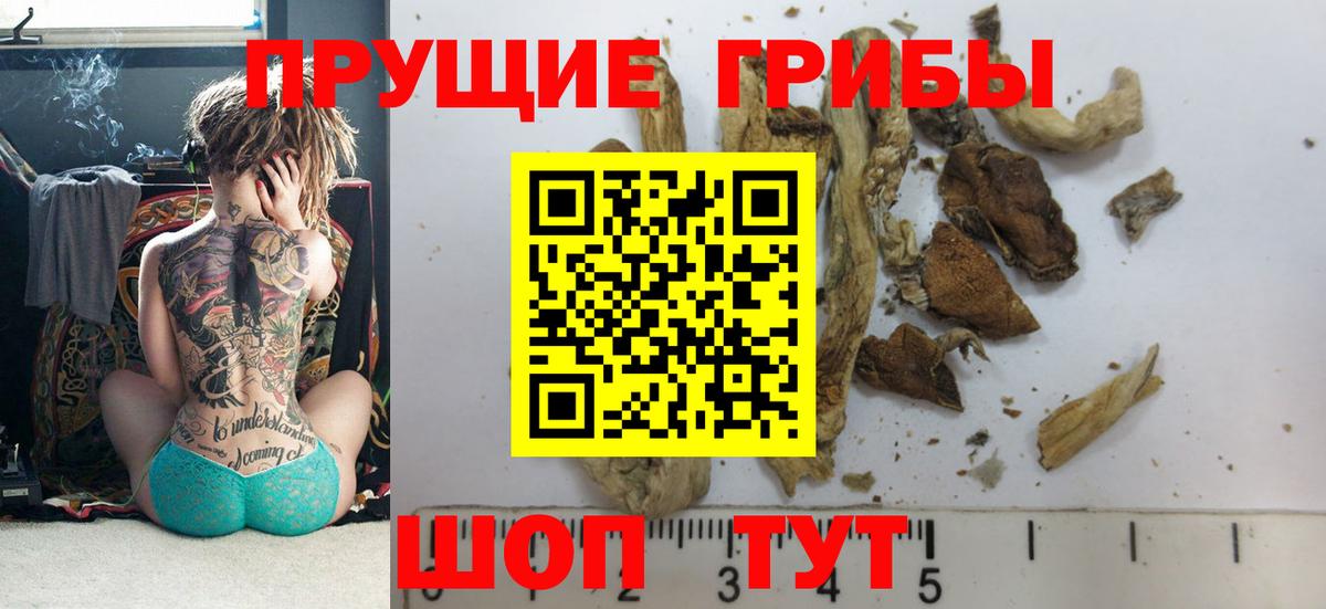 Ликино-Дулёво  купить  сайты  Вход с VPN  Псилоцибиновые грибы прущие грибы  Псилоцибиновые грибы мухоморы 